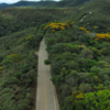 Estrada da Purificação
